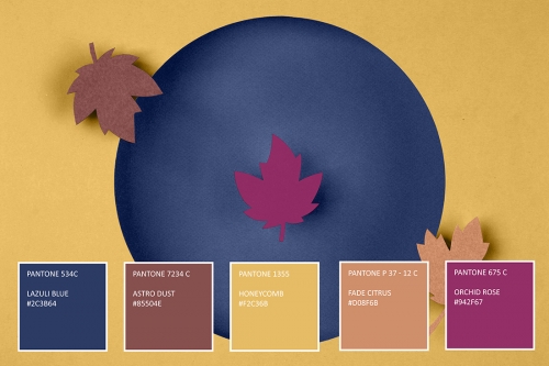 Web Tasarımda Renk Seçimi Nasıl Olmalı?